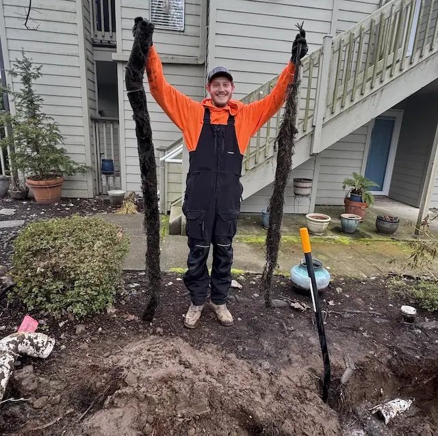 Twelve feet of tree roots pulled out of a customer's sewer pipe